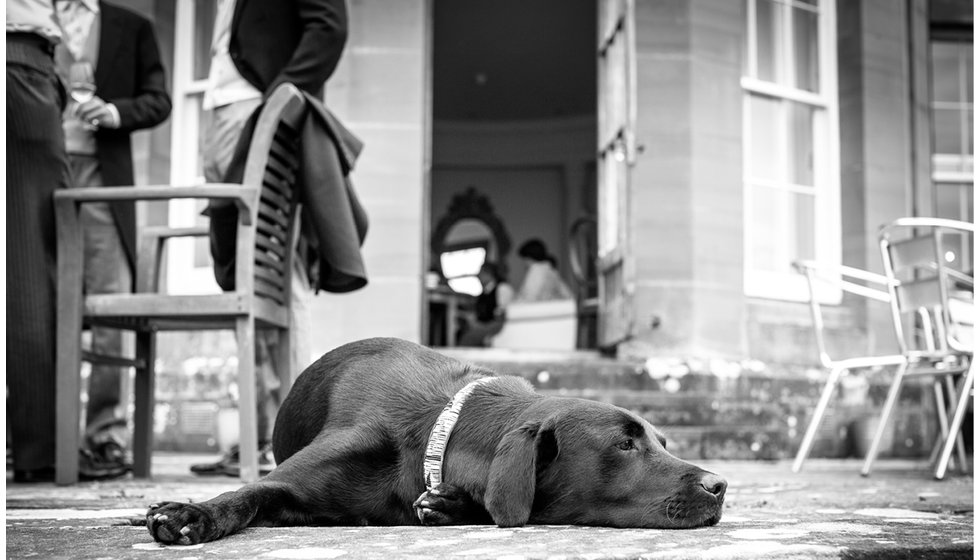 Draffin having a rest before the ceremony. 