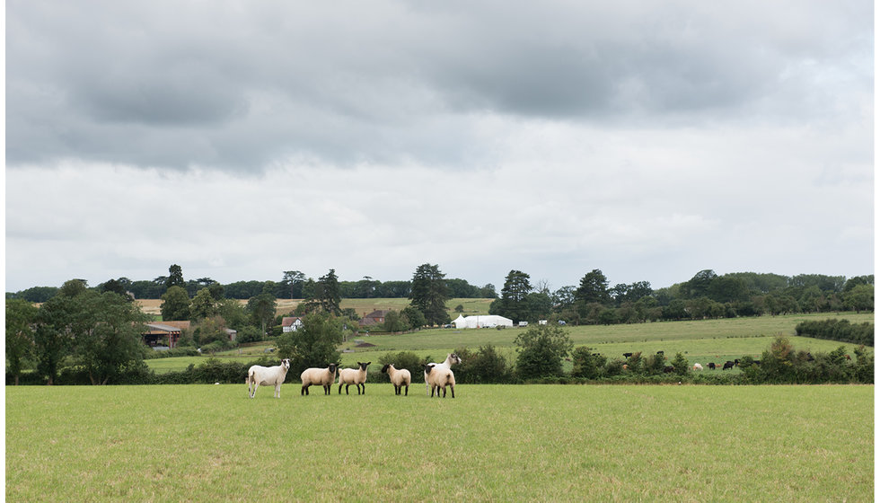 The beautiful countryside where Lizzie and Ian got married.