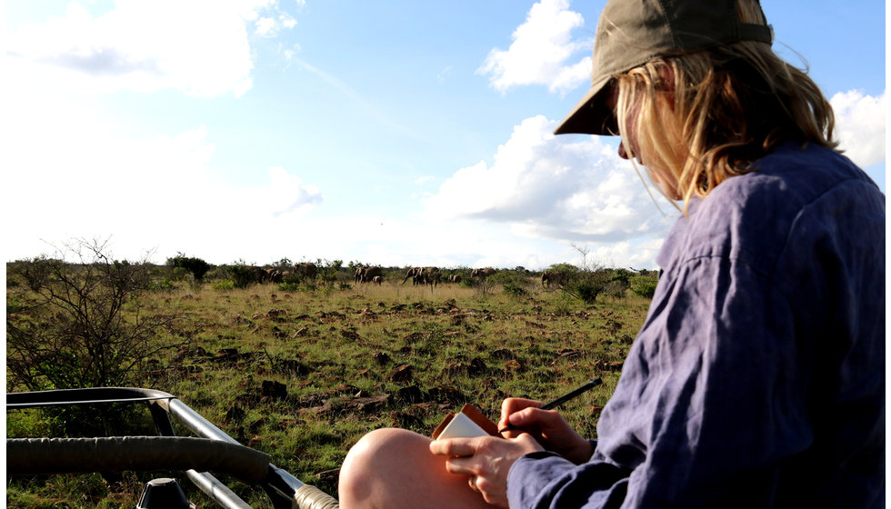 Sophie in the bush drawing the wildlife.