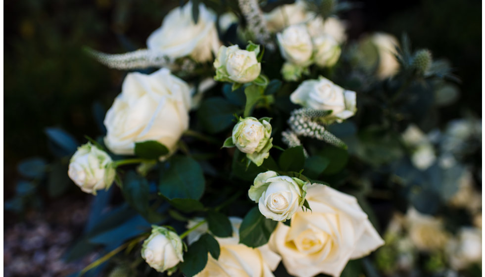 A close up of the flowers.