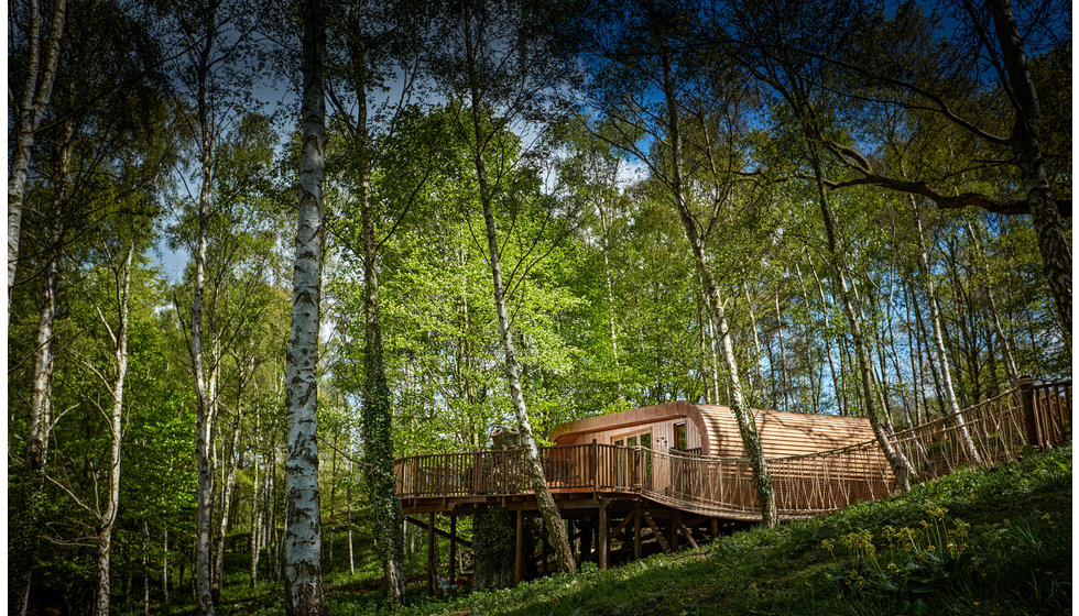 A cabin in the trees at the Fish Hotel in the Cotswolds. 