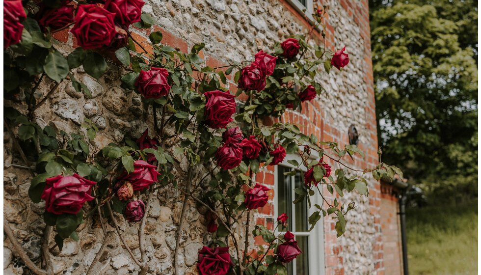 WPC Real Wedding: Hannah & Alex's Tuscan themed Norfolk Wedding