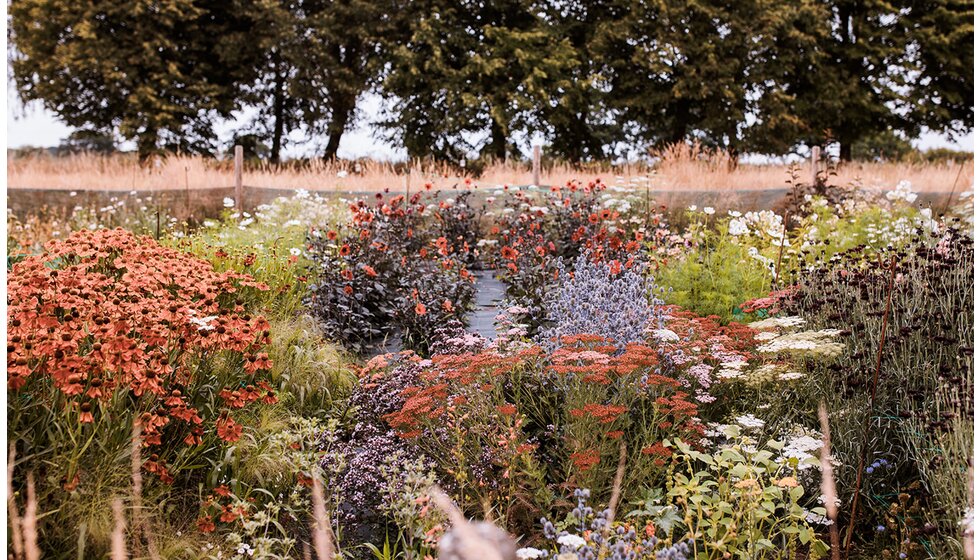 WPC Couple Kate and Andrew’s Sustainable & Locally Sourced Wedding in York: Homegrown floral meadow